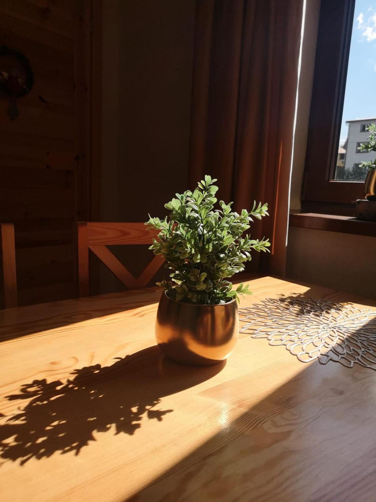 Zwardoniowka Apartamenty Pod Orawcowa Luaran gambar